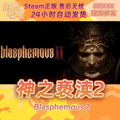 正版Steam国区神之亵渎2激活码