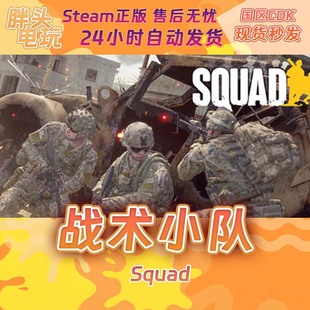 现货秒发 战术小队 激活码 Squad PC正版 Steam国区KEY