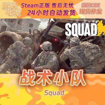 PC正版Steam国区KEY 战术小队 Squad 激活码现货秒发
