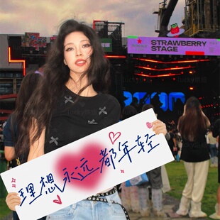 音乐节手持横幅氛围感拍照道具赵雷二手玫瑰回演唱会春丹应援旗帜