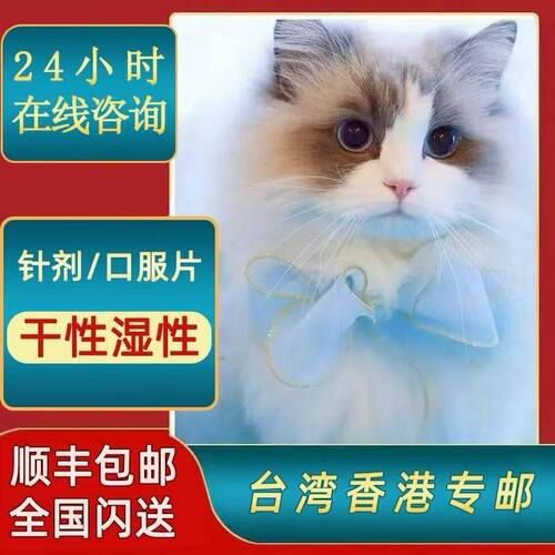 顺丰包邮同城闪送24小时