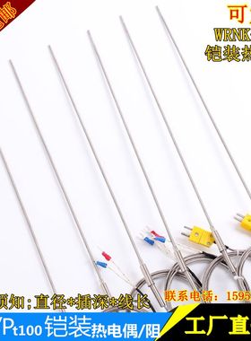 WRNK-191铠装热电偶K型E型J型探头探针式热电阻温度传感器可弯曲