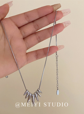 清甜盛夏~冷淡风欧美时尚洋气质项链 高级感简约流苏金属锁骨链潮