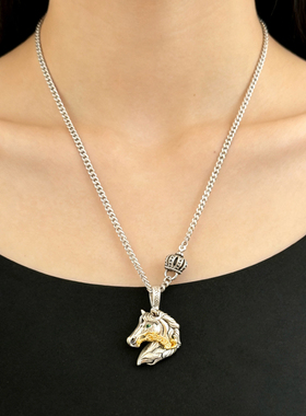 潮牌复古做旧马年吊坠男女小众设计感高级轻奢毛衣链潮男项链