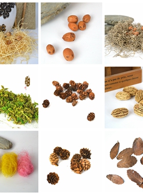 天然风干玉兰花松果树叶干花