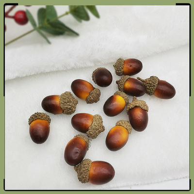 干花材料天然橡果 橡子幼儿园DIY手工材料配件 拍摄道具 仿真坚果