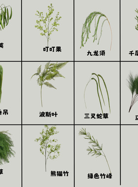 绿色仿真莫奈婚庆插花叶材龙须草芦荀草坪婚礼布置装饰批发绿叶