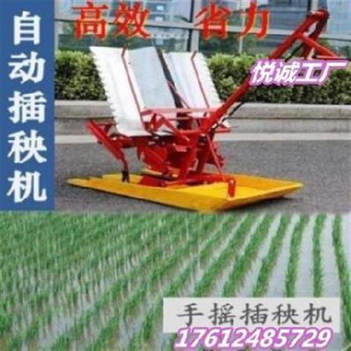 插秧机水稻农用农用新式栽秧机新型手摇插K秧机耕田平地耐磨多功
