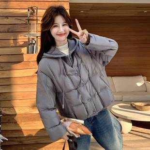 百搭白绒小个子鸭保暖外织 新款 B101 10针连帽假两件羽绒女服冬季