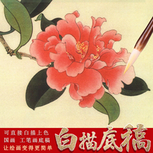 G2 Gongbi Painting Bai Trail Lote Draft Kai Hook Pen Практика начала Baihe Lotus Pao Xuan Paper Post Post