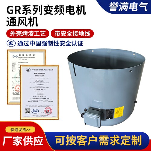 FORCED COOLING FAN Type GR200A/EV 代替SEW变频电机用散热风扇