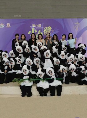 十三届小荷风采熊猫宝儿演出服儿童动物服幼儿园小学生舞蹈表演服