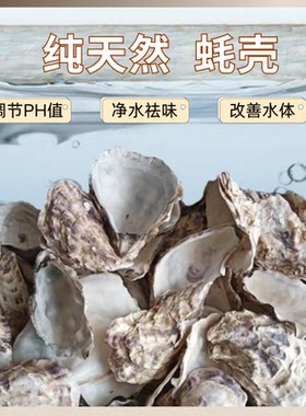 鱼池过滤材料牡蛎壳蚝壳滤材