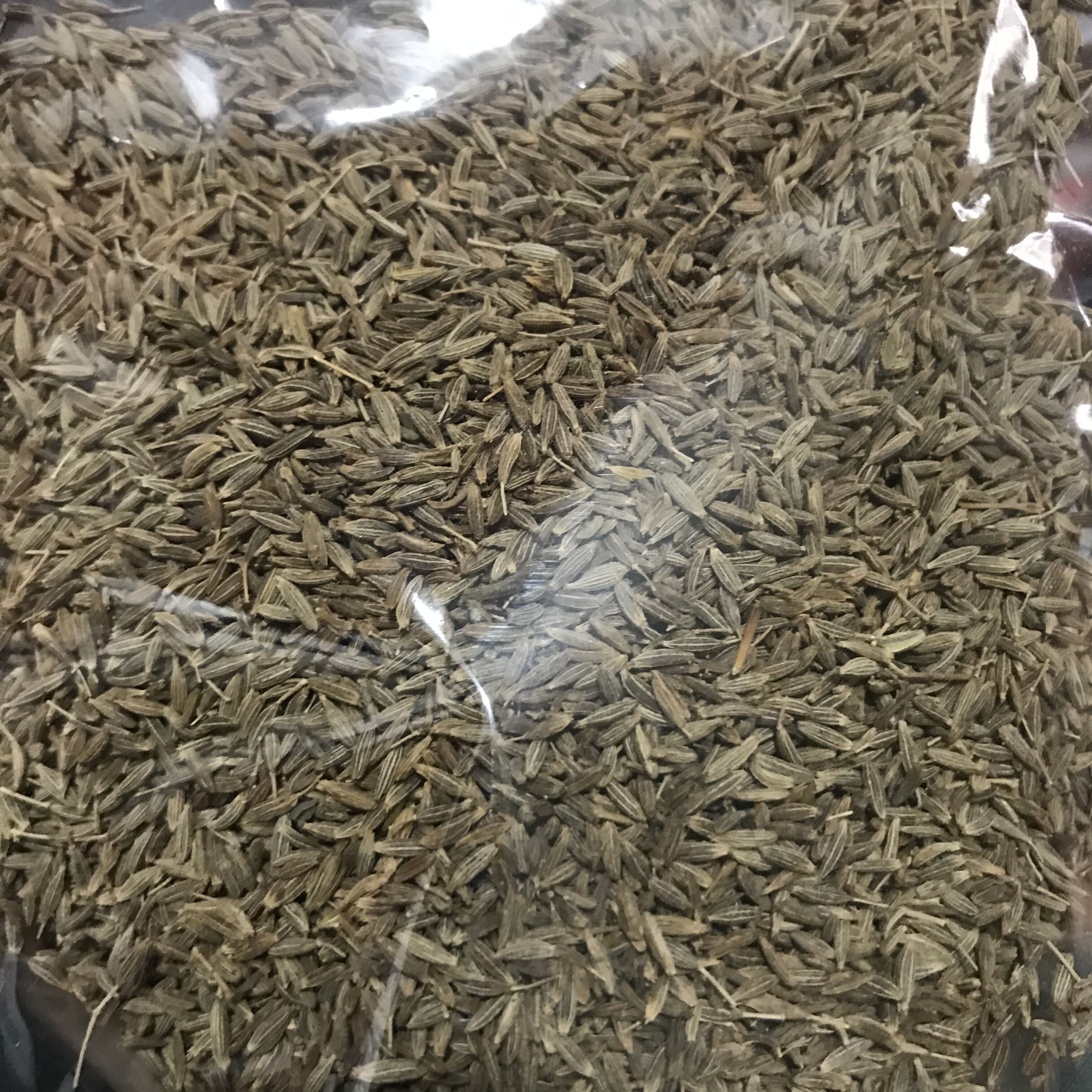 cumin seeds GRANULES孜然颗粒烧烤调料