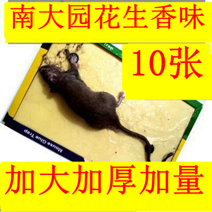 10张灭鼠除治打老鼠贴神器超强力粘鼠板诱饵食胶帖纸家用工具正品