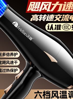 【飞雕】发廊电吹风家用速干理发店专用吹风机护发负离子大功率