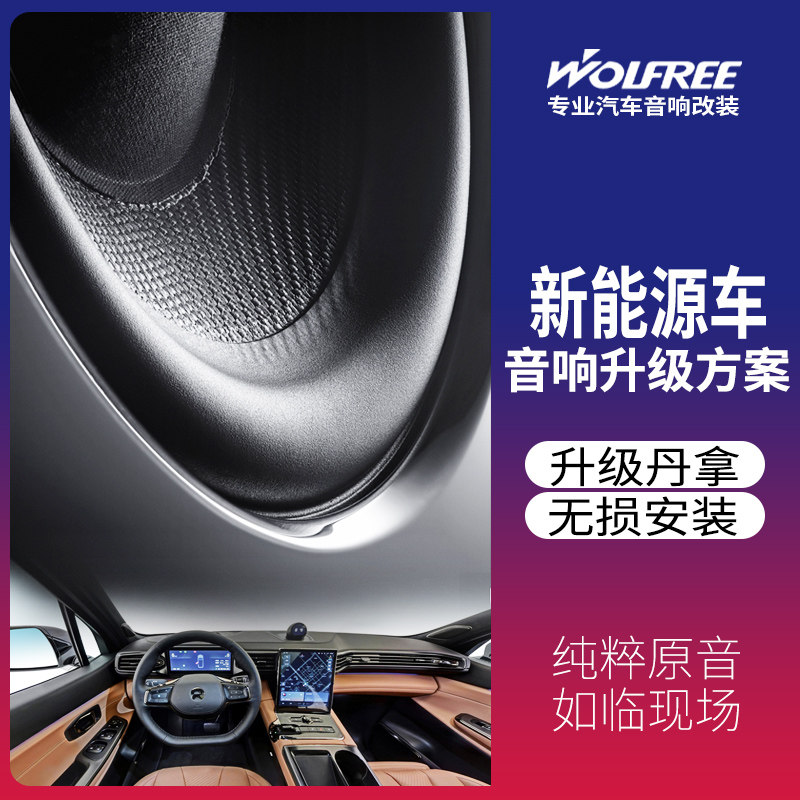 丹拿新能源车改装特斯拉理想