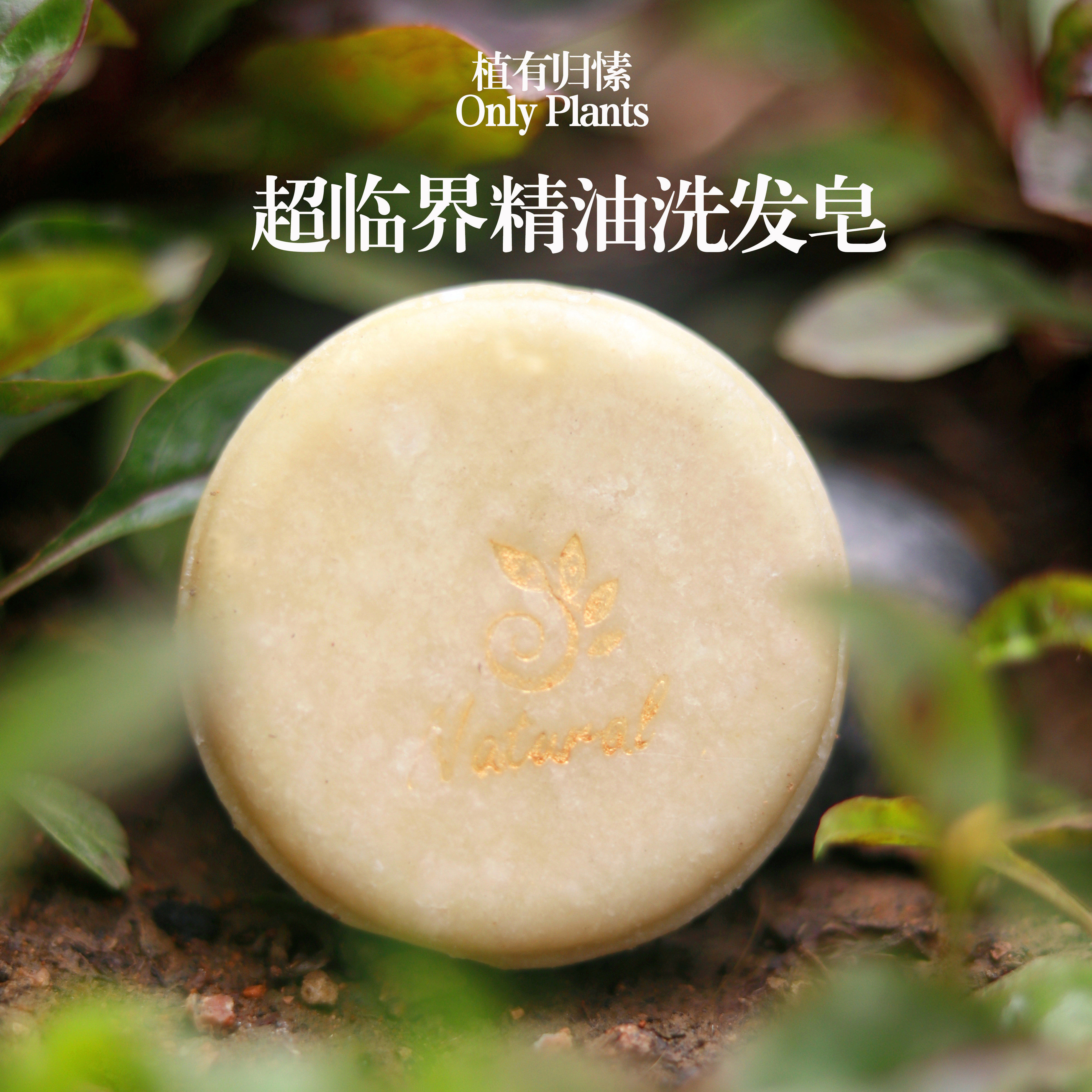 洗发皂侧柏叶何首乌天然固发防断发洗头香皂控油去屑养护发精油皂