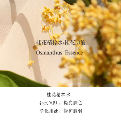 桂花精粹水/原液提亮肤色净化肌肤补水保湿