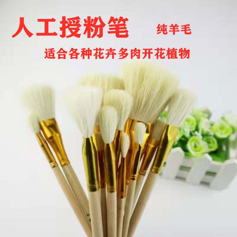 草莓花卉植物专用多肉果树盆栽人工授粉吸附力强生石花肉锥授粉笔,农机/农具/农膜,授粉器/点花器,淘宝优惠券,粉丝福利购,淘宝优惠卷