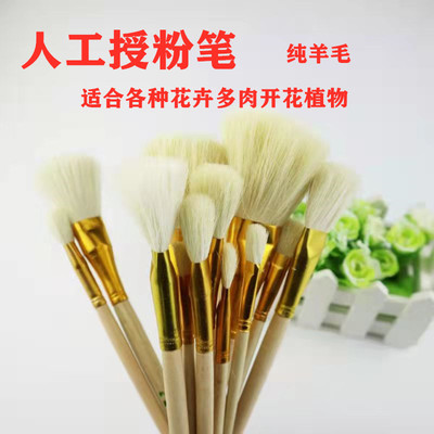 草莓专用人工授粉笔绿植花卉果树