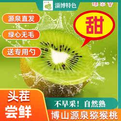 博山源泉绿心猕猴桃奇异果新鲜水果当季水果现摘弥猴桃绿尔馨