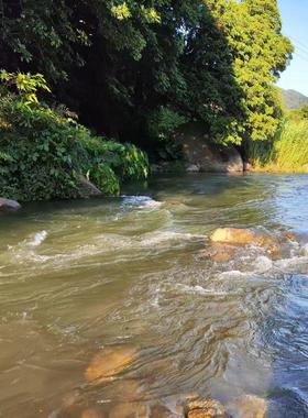 谢谢帮衬 荔枝已经过季 26年夏天再见