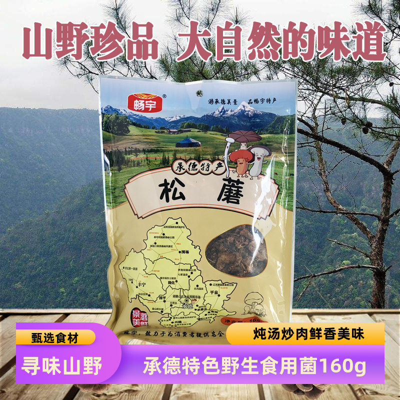 畅宇松口蘑松菇承德围场赛罕坝上特产美味山珍干菜食用菌160g袋装