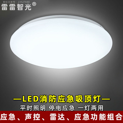 雷雷智光感应应急灯满51减3