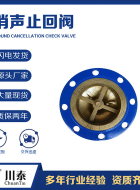 消声止回阀 法兰连接立式防倒流单向阀逆止水力控制阀 四川厂家