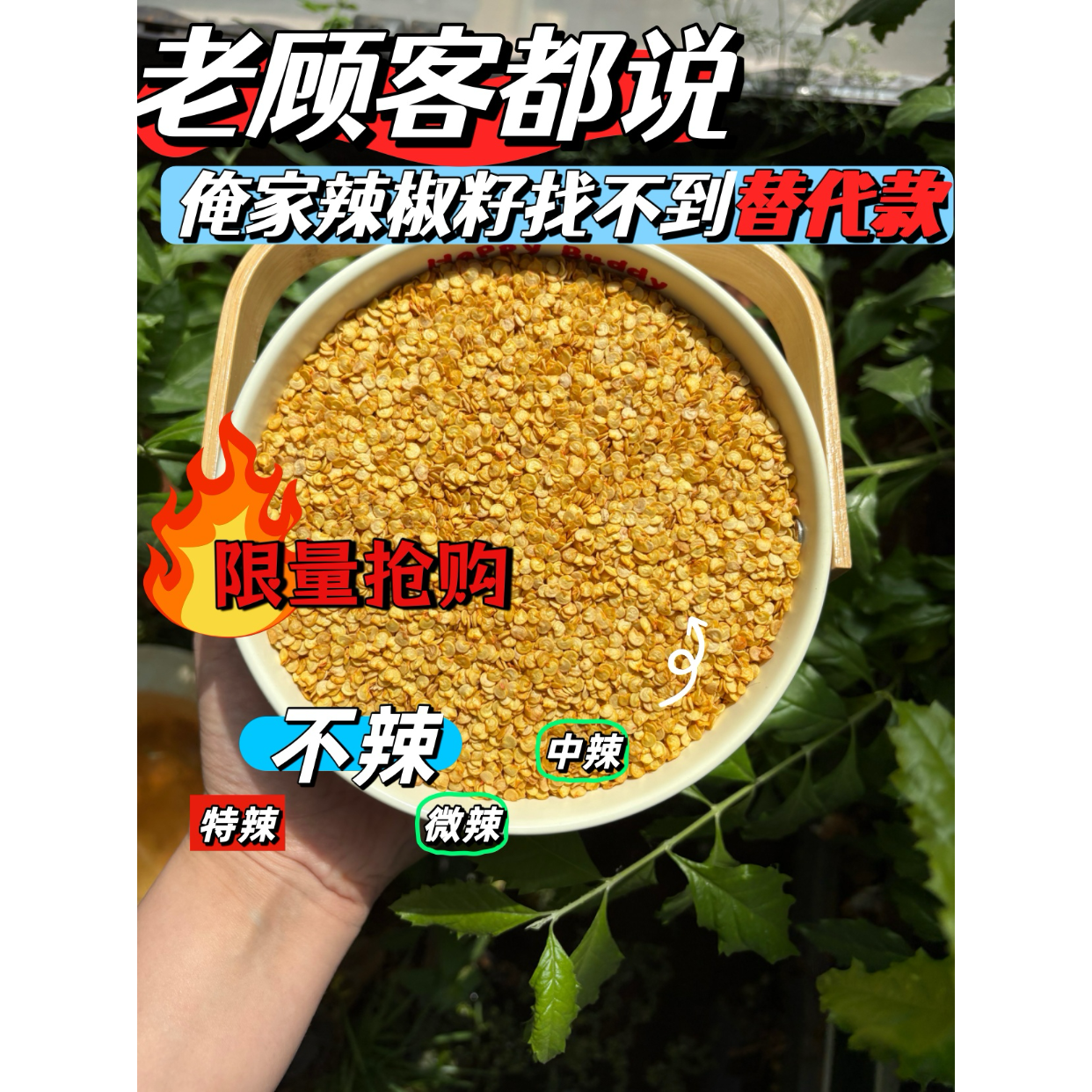 不辣的辣椒籽香而不辣辣椒仔生辣椒子香椒子起宝家500g包邮高品质
