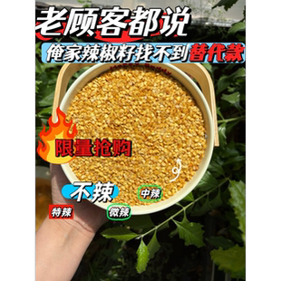 不辣的辣椒籽香而不辣辣椒仔生辣椒子香椒子起宝家500g包邮高品质