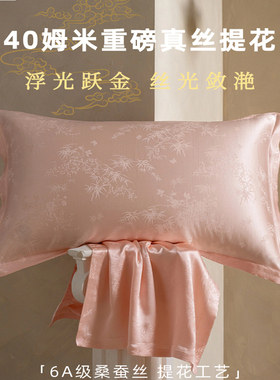 40姆米重磅真丝提花丨6A级100%桑蚕丝养肤家用枕头套一对装