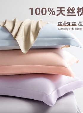 五星级酒店100%天丝枕套一对装枕芯内胆套夏季冰丝纯色家用枕头套