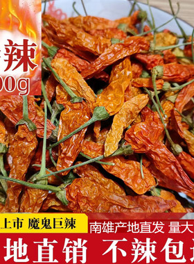 南雄超香特辣小米辣指天黄干辣椒朝天椒野山椒韶关特产霸王辣500g