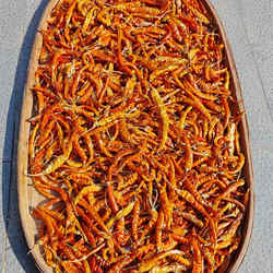 南雄特产黄皮辣椒干广东粤北韶关土特产黄贡椒干货中辣特香火锅椒