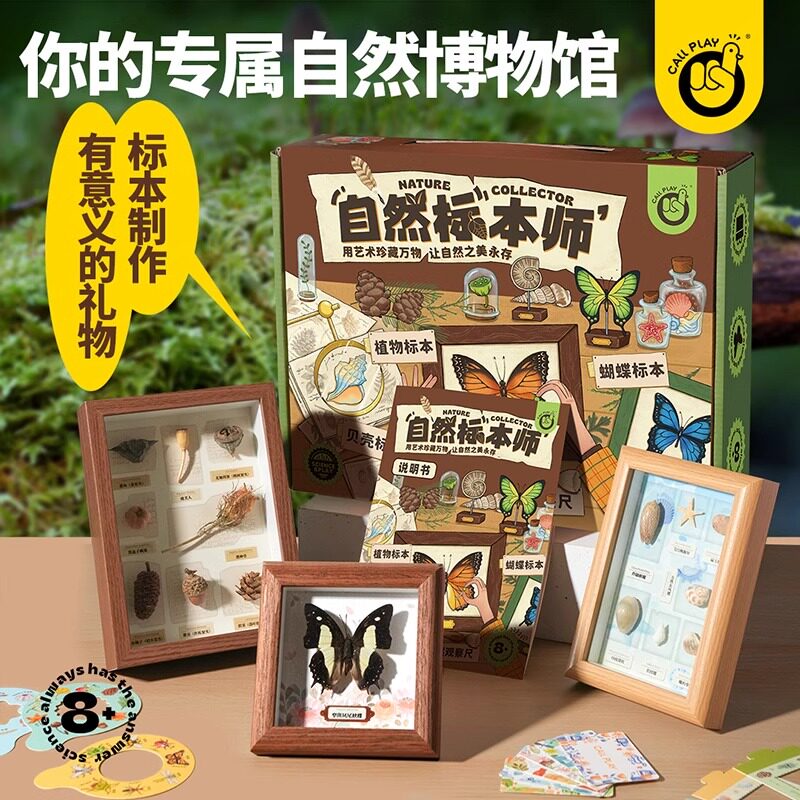 自然动物蝴蝶标本装饰画