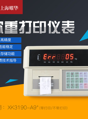上海耀华称重仪表显示器汽车衡