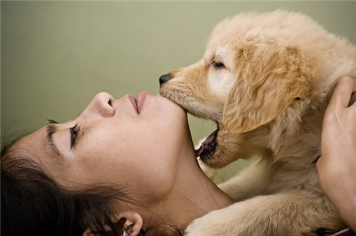 宠物骨灰盒爱犬猫狗骨灰盒宠爱一生坛子寿盒骨灰盒狗狗防潮火化