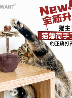 CATWANT/猫咪旺农场 纸花系列猫薄荷木天蓼舒压磨牙自嗨解闷玩具