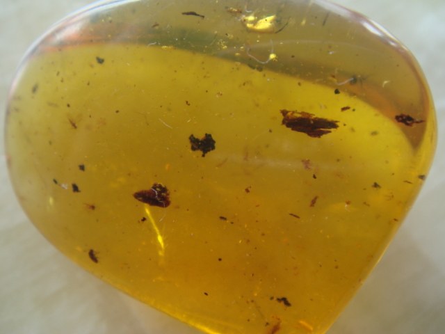 缅甸天然琥珀 7.2克棕血珀物象虫珀虫尸原石17