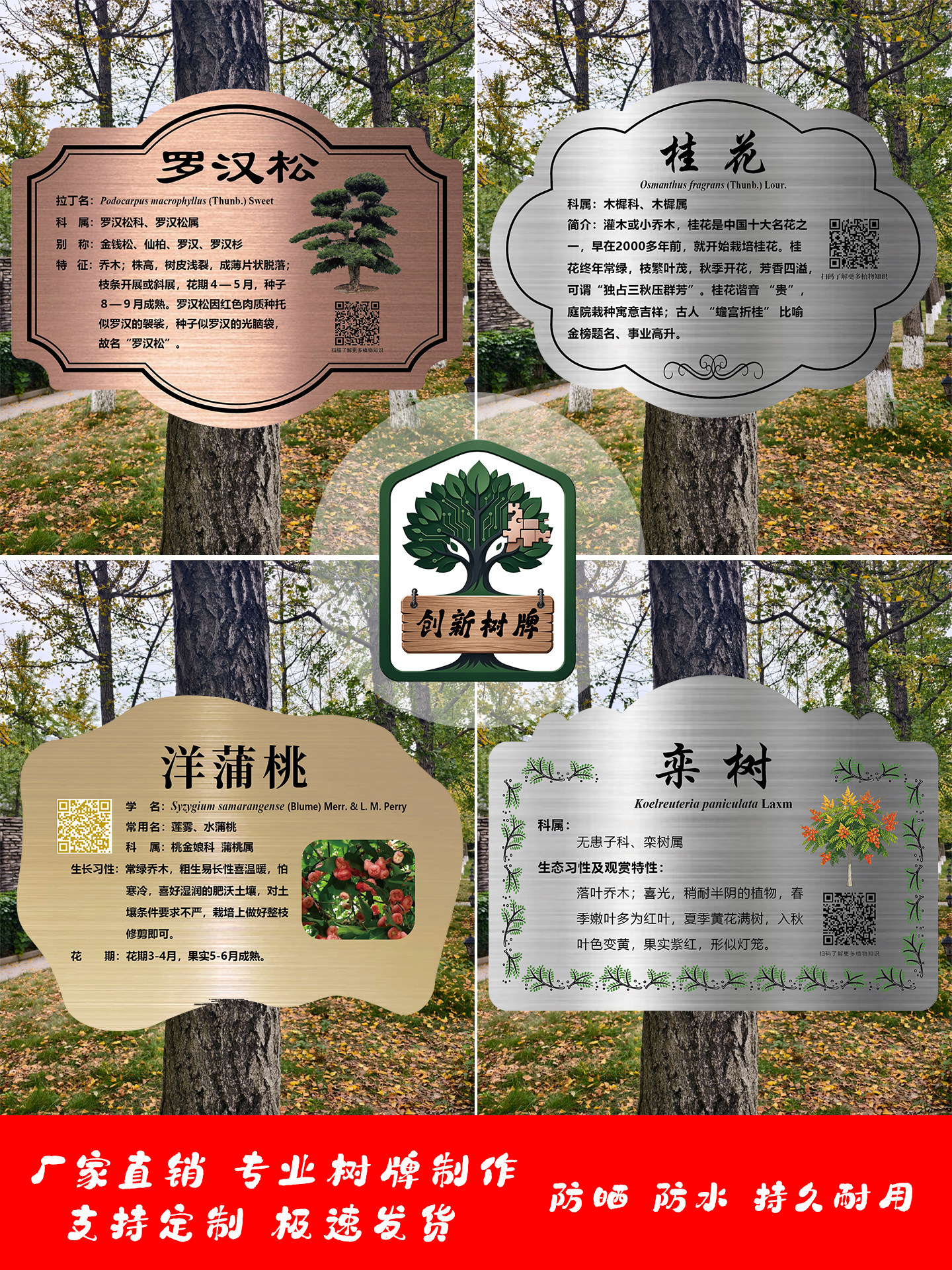 厂家定制不锈钢树牌定制挂牌学校公园铭牌植树花草果树吊牌