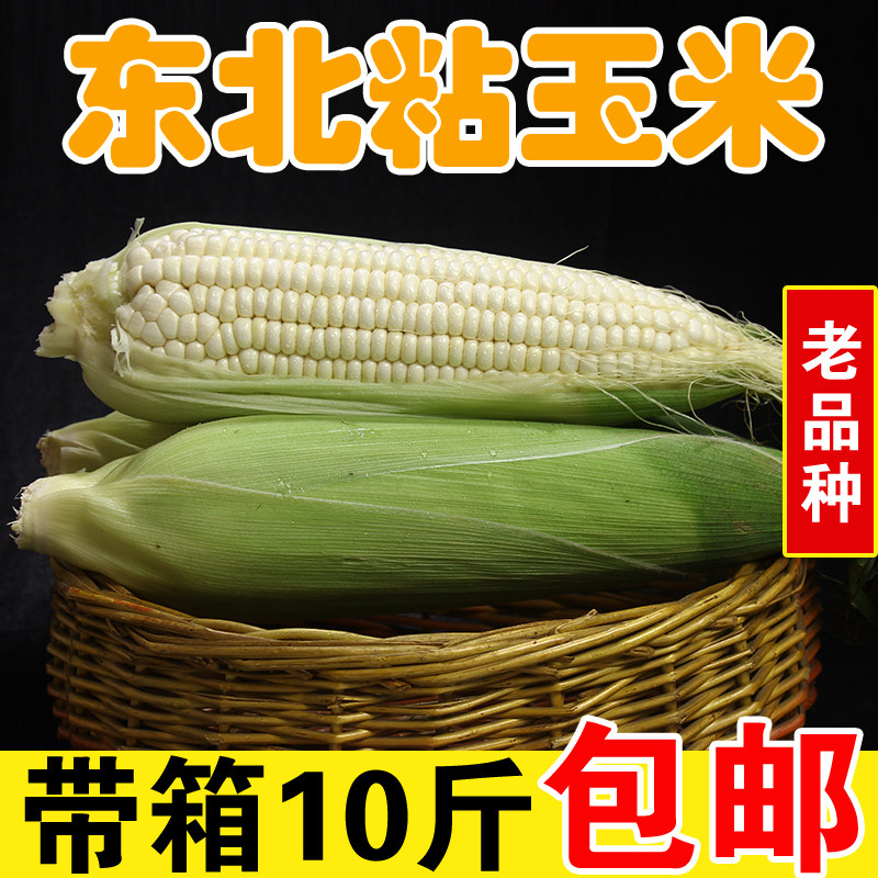 东北新鲜带皮黏玉米农家自种玉米图片