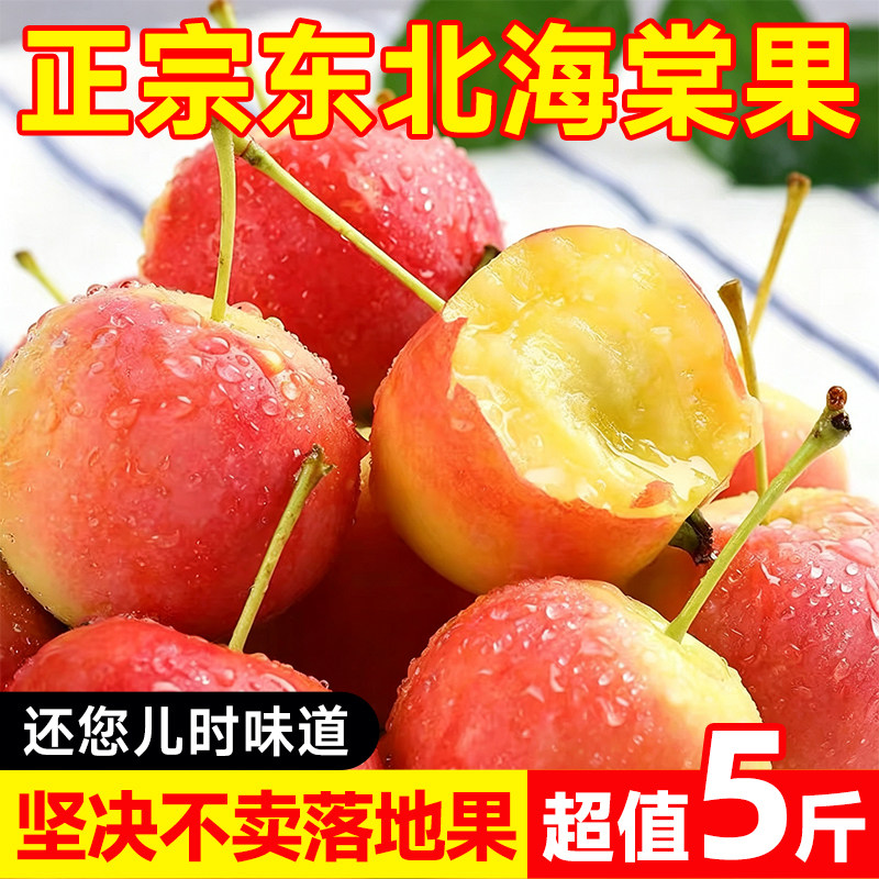 东北海棠果新鲜水果现摘现发当季酸甜爽口孕妇水果小沙果整箱包邮