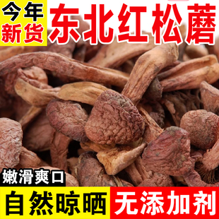 东北特产红松蘑干货野生蘑菇松树伞肉蘑菇红蘑小松蘑新货包邮500g
