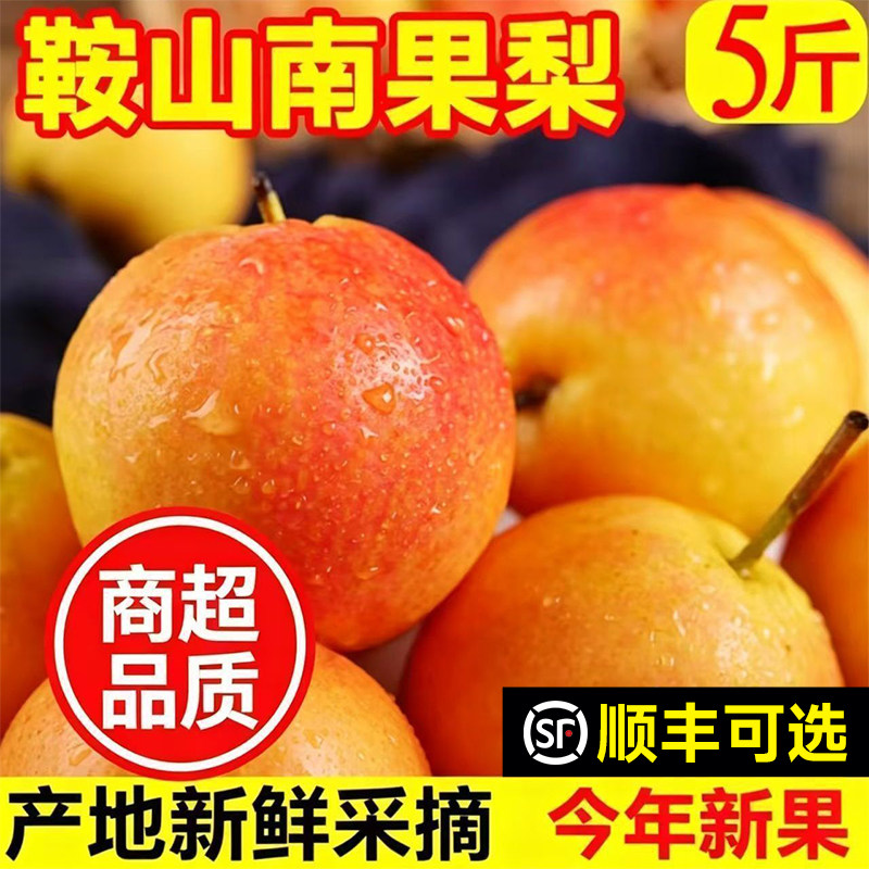 东北特产鞍山南果梨新鲜应季水果辽宁香水梨子冻梨5斤装整箱包邮