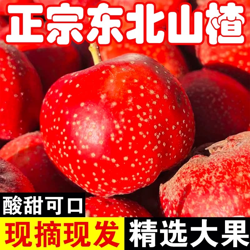 新鲜山楂大金星酸甜软糯应季水果山里红果子非特级批发五斤装包邮