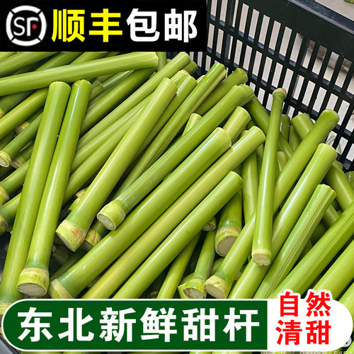 东北特产甜杆甜高粱杆顺丰包邮