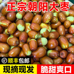 正宗朝阳大枣新鲜现摘现发脆甜爽口当季孕妇时令水果整箱顺丰包邮