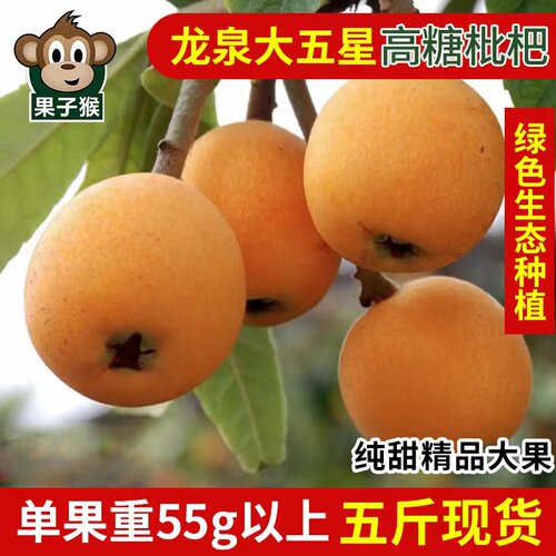 四川龙泉大五星枇杷大果空运包邮